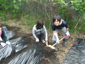 「農園体験」で、シートに土を被せる学生