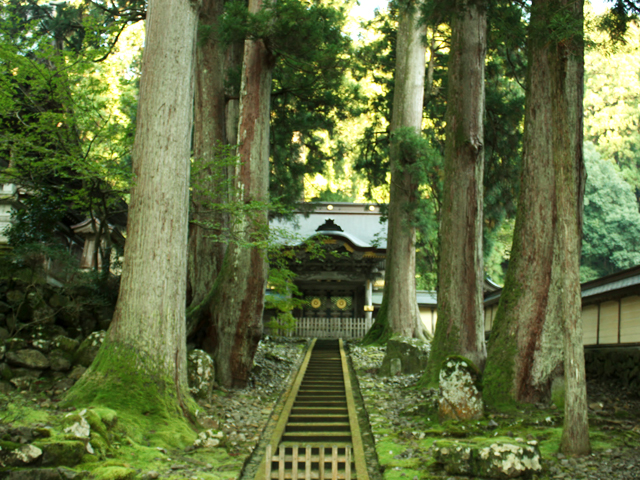 一日遠足