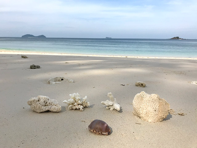 Lampi Marine_ National Park内の無人島のビーチ