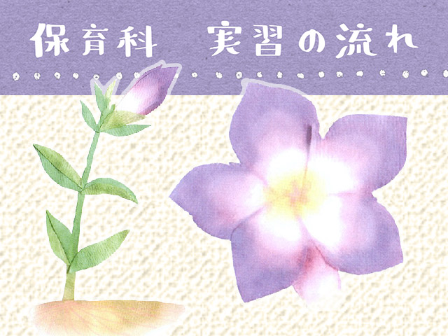 実習