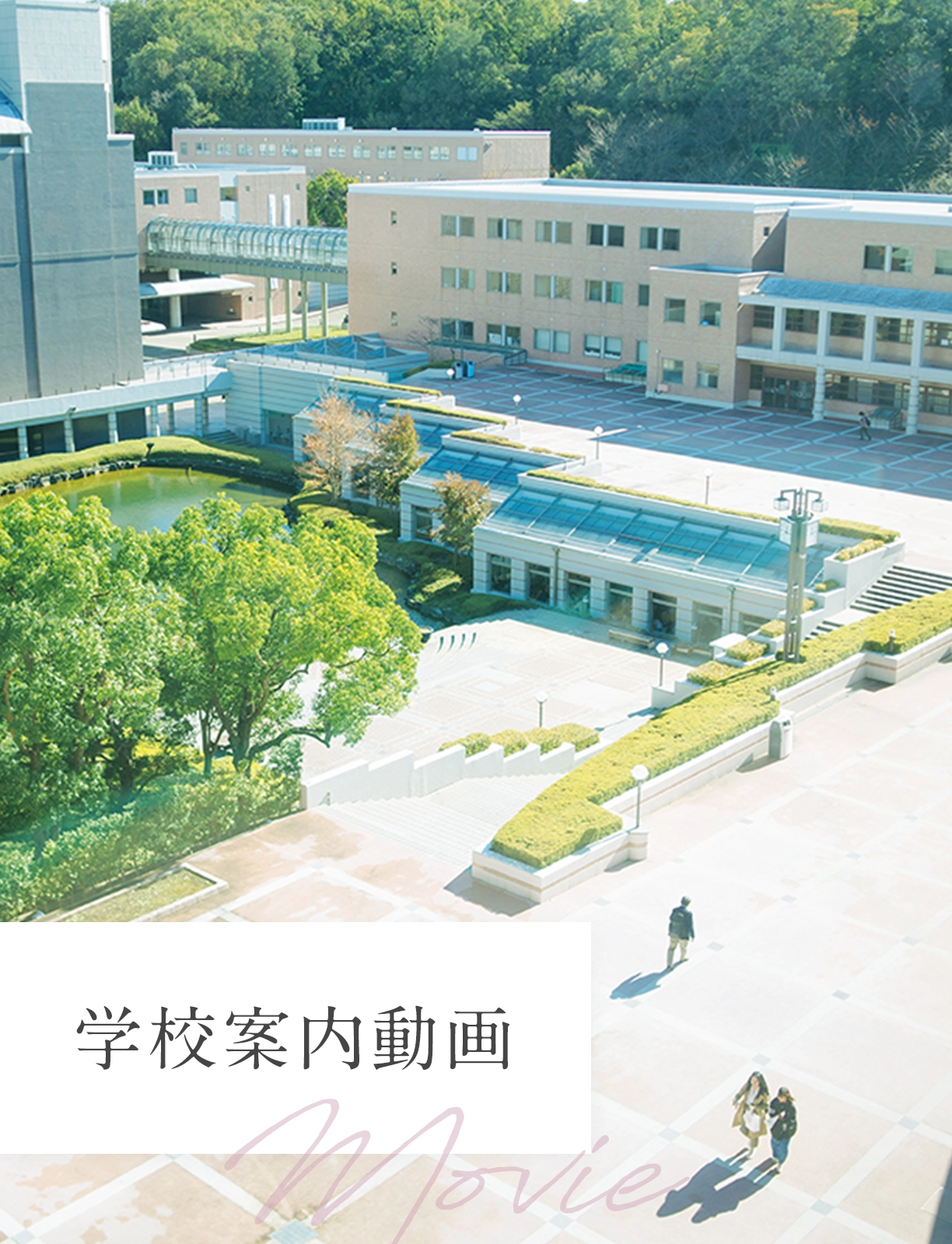学校案内動画