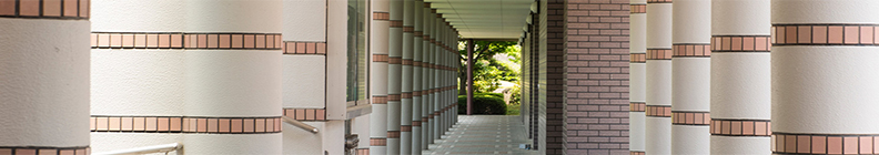 大学・大学院