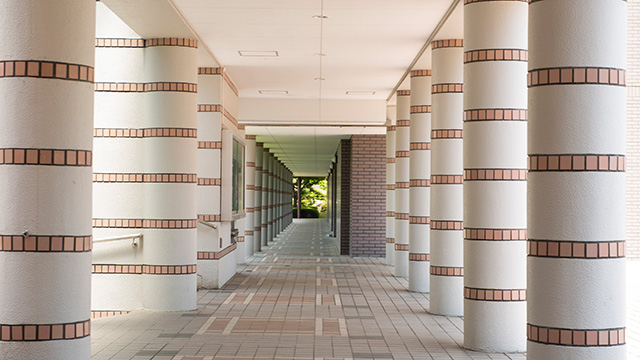 大学・大学院
