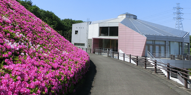 住生活館