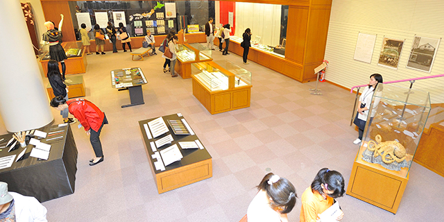 大学短大図書館・博物館学実習館