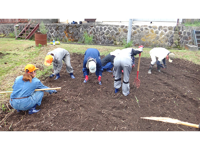 全員で草取りです