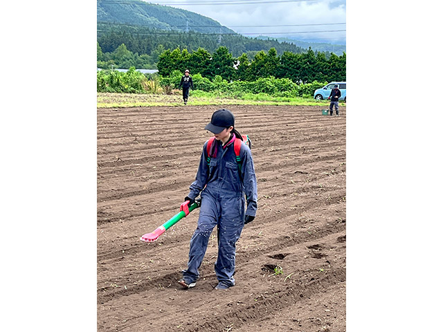 土がふかふかで歩きにくい……。