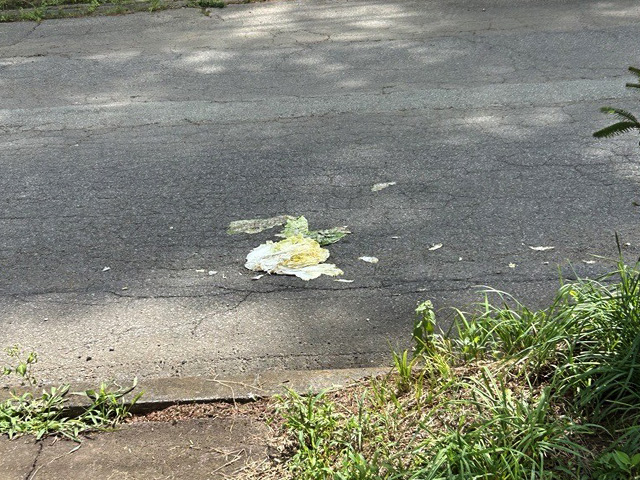記事写真