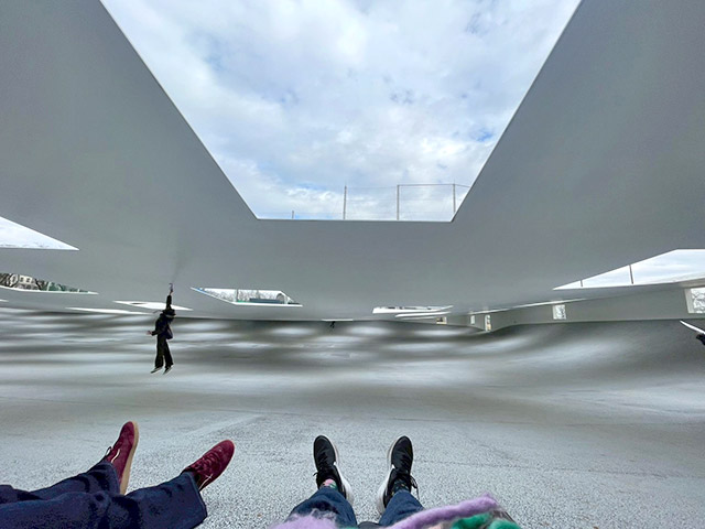 寝転ぶと空が切り取られて見えます！