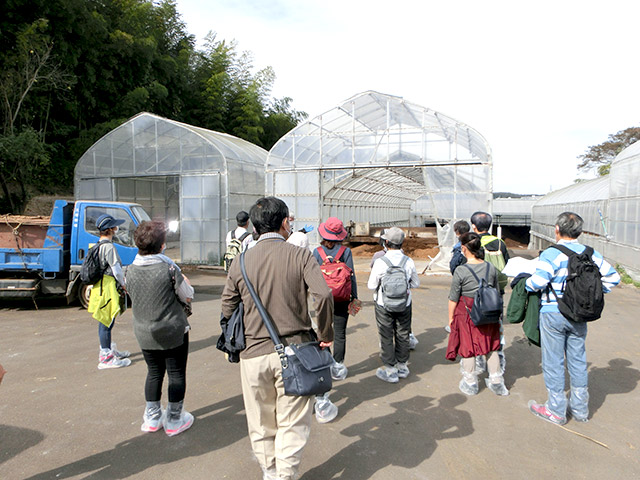 大塚牧場見学の様子