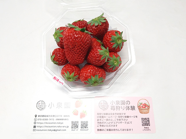 稲城産のいちご