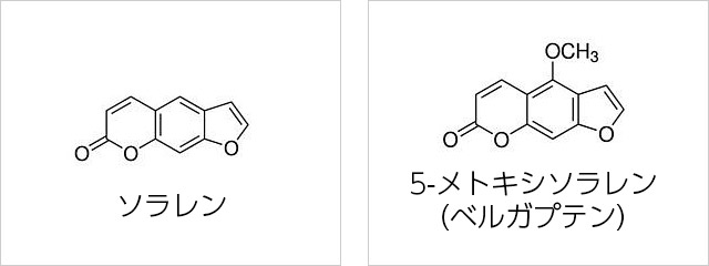ソラレン 5-メトキシソラレン（ベルガプテン）