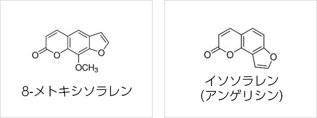 8-メトキシソラレン イソソラレン（アンゲリシン）