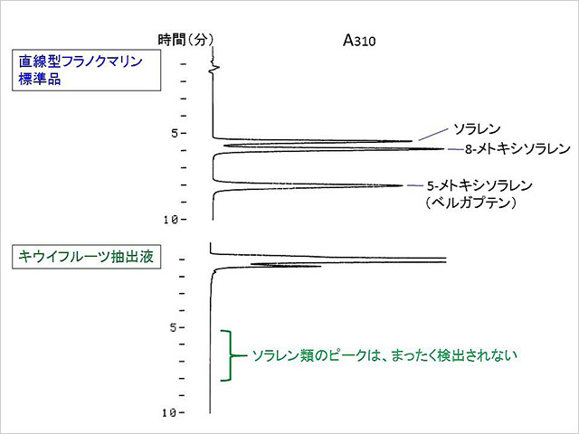 記事写真