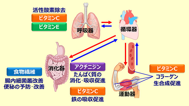 講演会で使用したスライドの一部