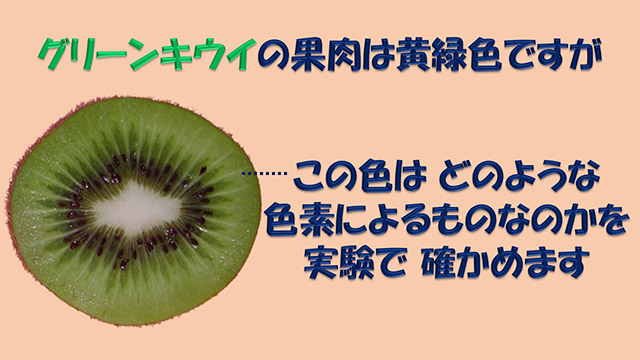 グリーンキウイの果肉は特徴ある黄緑色です