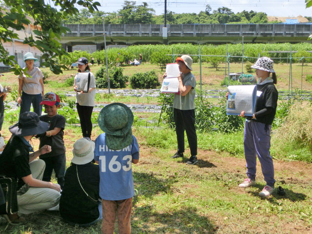 じゃがいも観察記録の説明