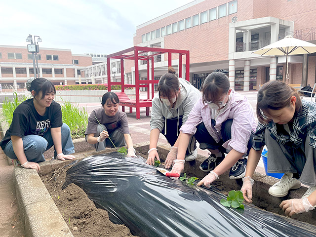 成長を願って丁寧に苗を植えました