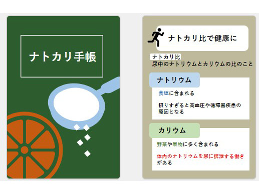 参加者に配布した学生作成「ナトカリ手帳」