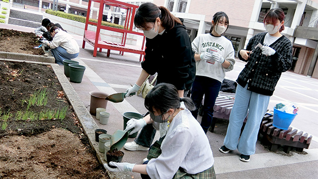 家庭菜園プロジェクトの種まき