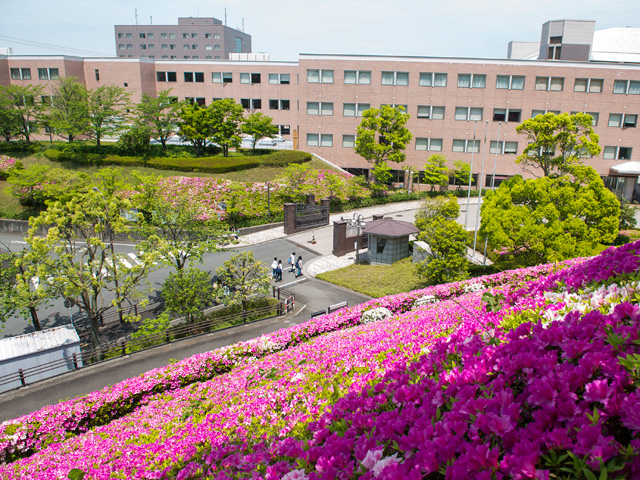 教員エッセイ 人間関係の窓 人間関係学科 駒沢女子大学 駒沢女子短期大学