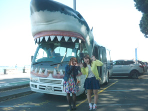 サメのシャトルバス