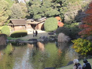 東京国立博物館の庭園を散策