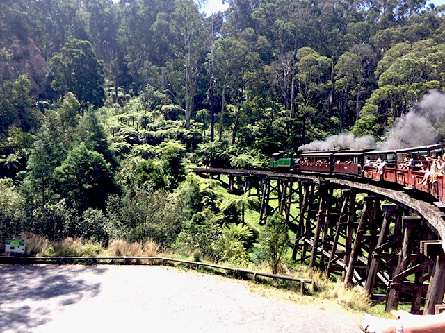 Puffing Billy 蒸気機関車