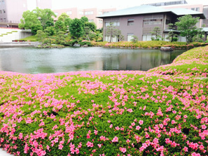 恵まれた環境の照心館