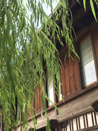海野宿の町家の美しい窓周りと柳並木