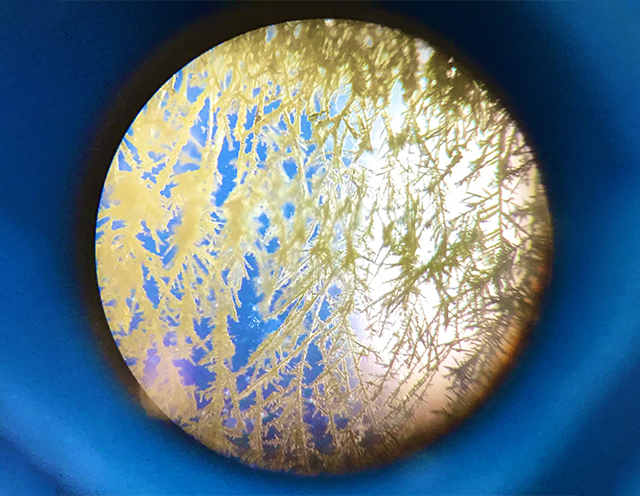 顕微鏡で銀樹を観察した様子です（生徒が「銀樹」を「樹（き）」に見えるよう写真を加工しました）