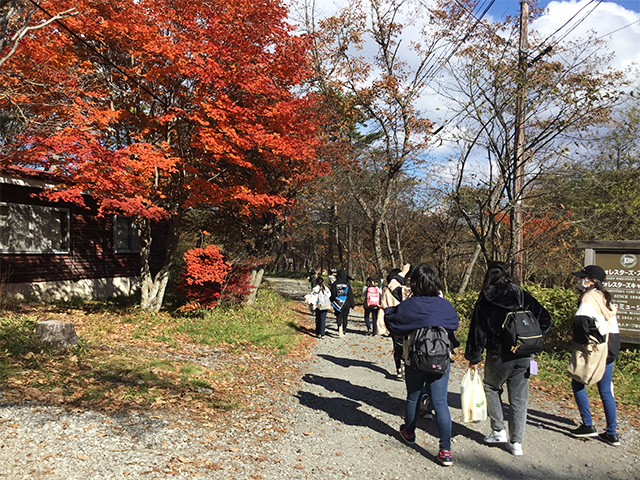 美しい紅葉の中の散歩