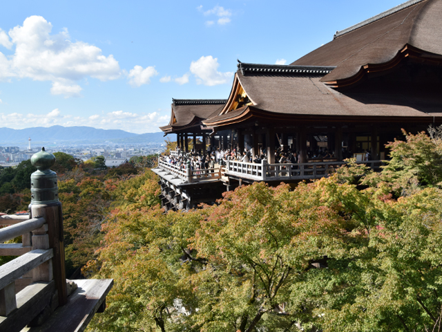 とても美しい季節の京都を堪能できました