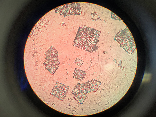 塩化ナトリウムの結晶を顕微鏡で観察しました