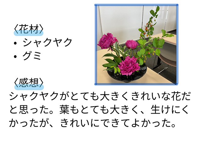 6月4日生徒レポート