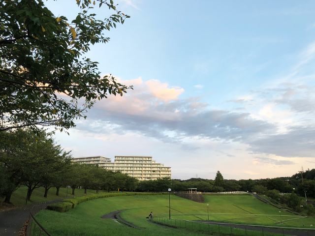 人気の少ない朝の公園