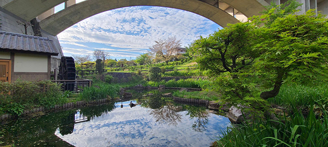 学校の近くの上谷戸（かさやと）公園の風景。