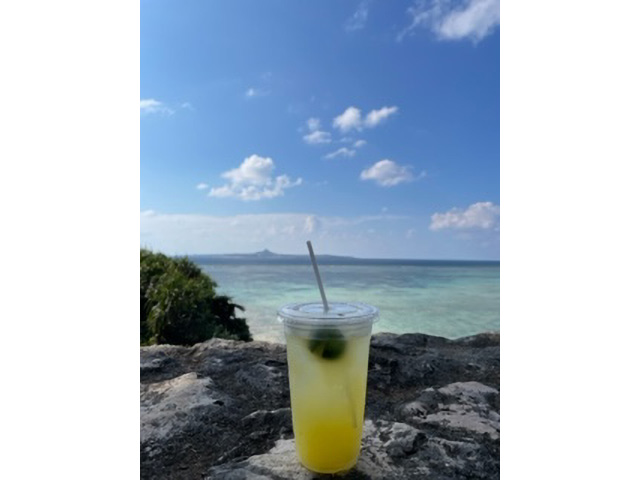 2023年　美ら海水族館の公園にて。伊江島が向こうに見えています。