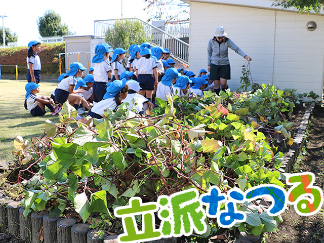 幼稚園の