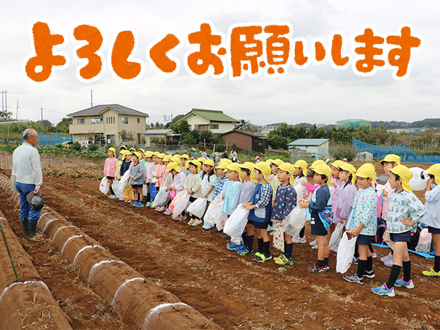 お芋畑の志村さんの