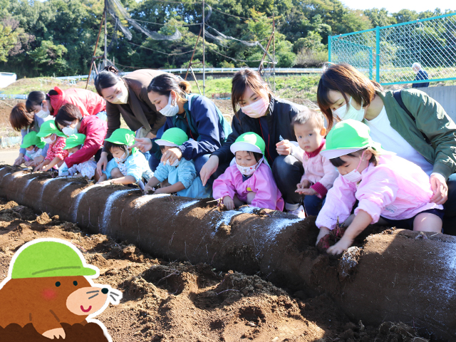 よーし！モグラに変身してお芋を掘るぞー！（年少組）