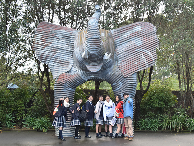 動物園 フィールドワークは、オークランド動物園でも行われました。ここでは、ニュージーラン
ドのシンボルで、絶滅危惧種でもあるキーウィがひょこひょこと可愛らしく歩いているところを見ることができました。
