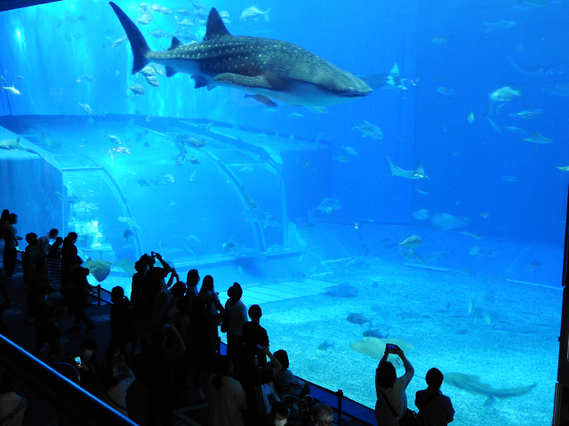 国営沖縄記念公園（海洋博公園）・沖縄美ら海水族館