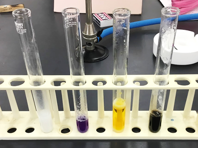 左から順に①変性　②ビウレット反応　③キサントプロテイン反応　④硫黄の検出