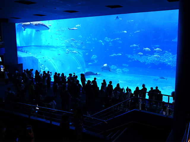 国営沖縄記念公園（海洋博公園：沖縄美ら海水族館）