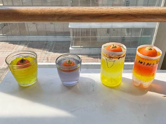 完成した栽培セット。本当にこれで芽が出るのでしょうか？