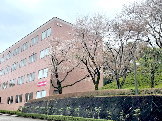 咲き始めた桜と看護学部実習館