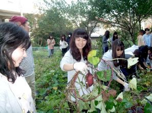 おいもほり：長い弦の先に、大きなおいもを見つけました。