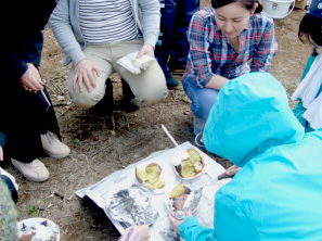 審査：教員が各クラスのお芋を試食。厳正なる審査を行いました。