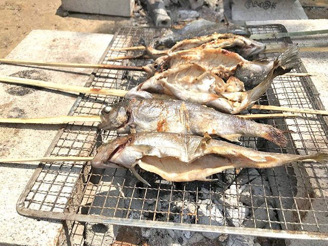 塩を振って、手作りの竹串に刺して串焼きにしました。